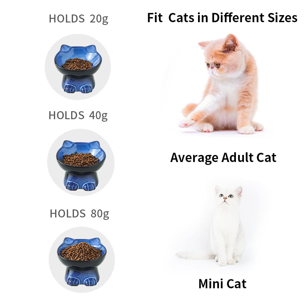 Nihow tilt-angle design keeps food centered and whiskers comfortable.