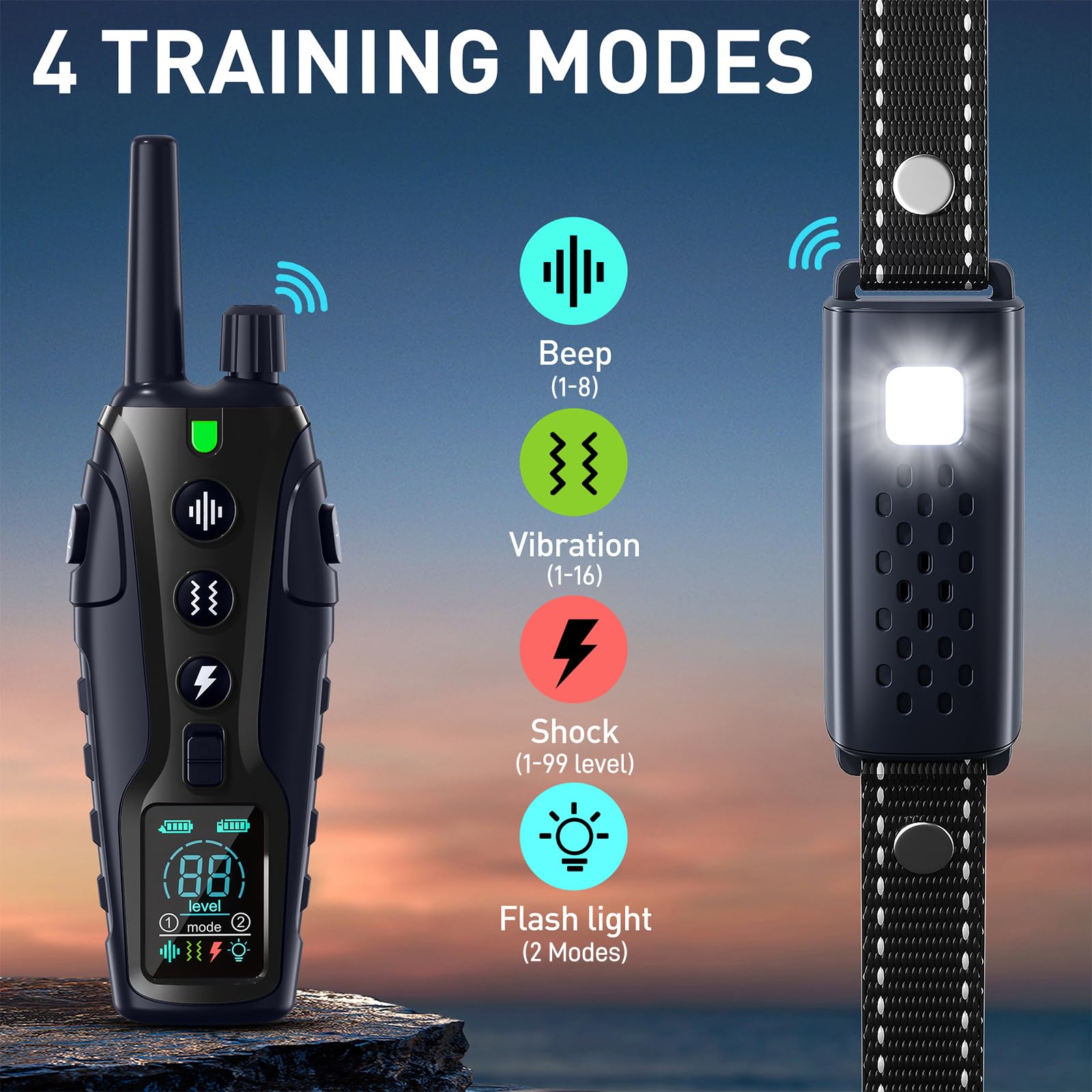 Nikketta remote display shows live status for confident training.