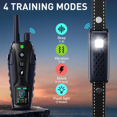 Nikketta remote display shows live status for confident training.
