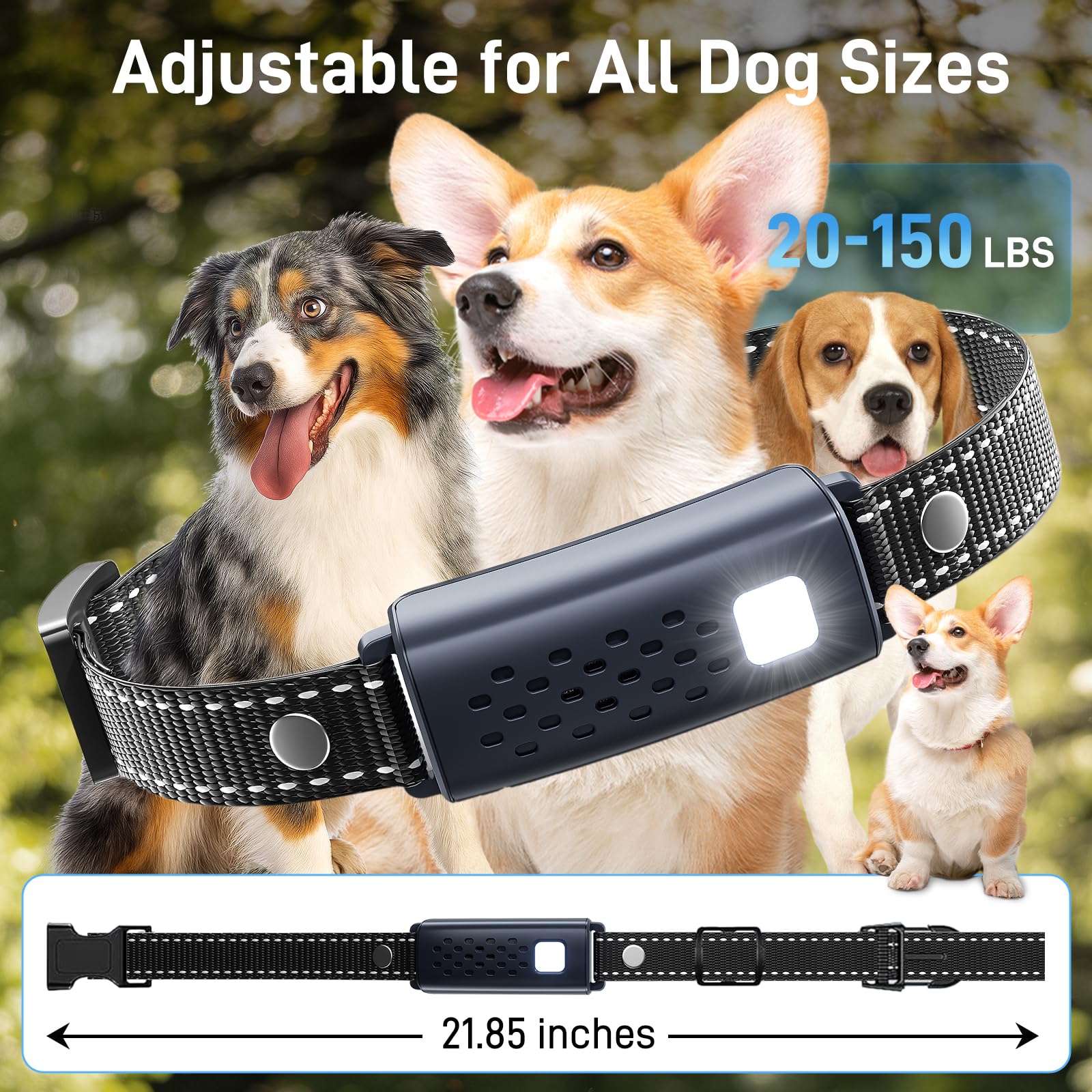 Nikketta solid white light helps tracking your dog at night.