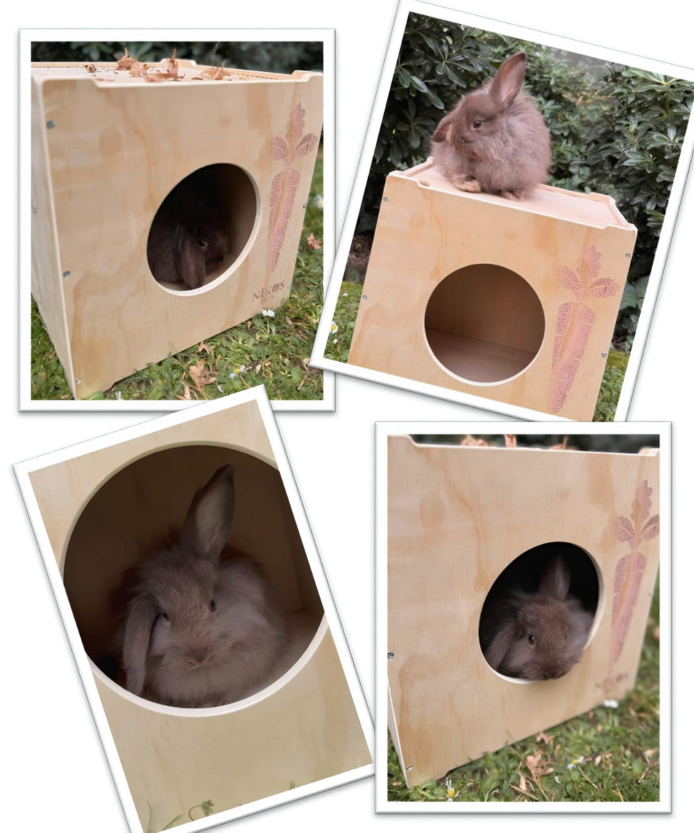 NIKOS PETS dimensions 12.5 inches square suit compact spaces