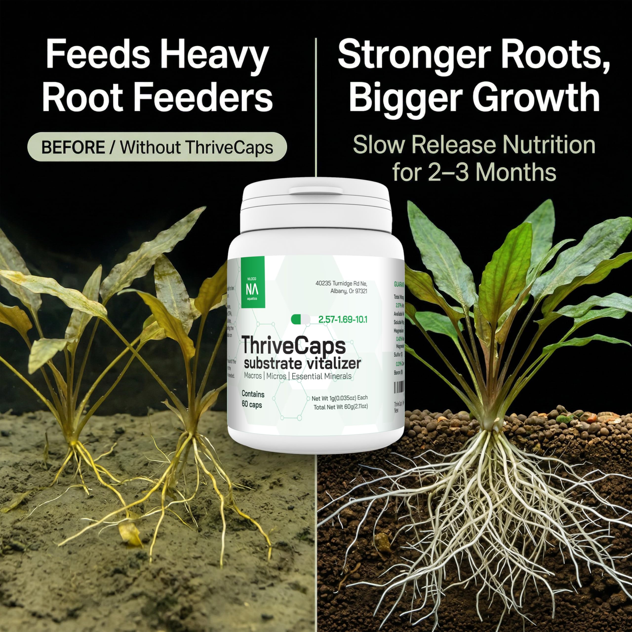 Capsules placed in substrate beneath plants for steady root zone nutrition.