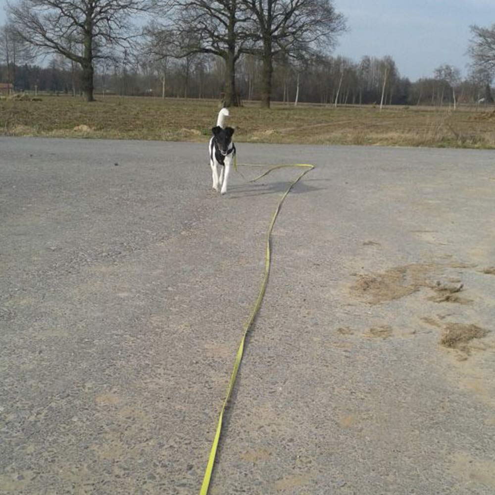 NIMBLE bright color options help visibility during walks