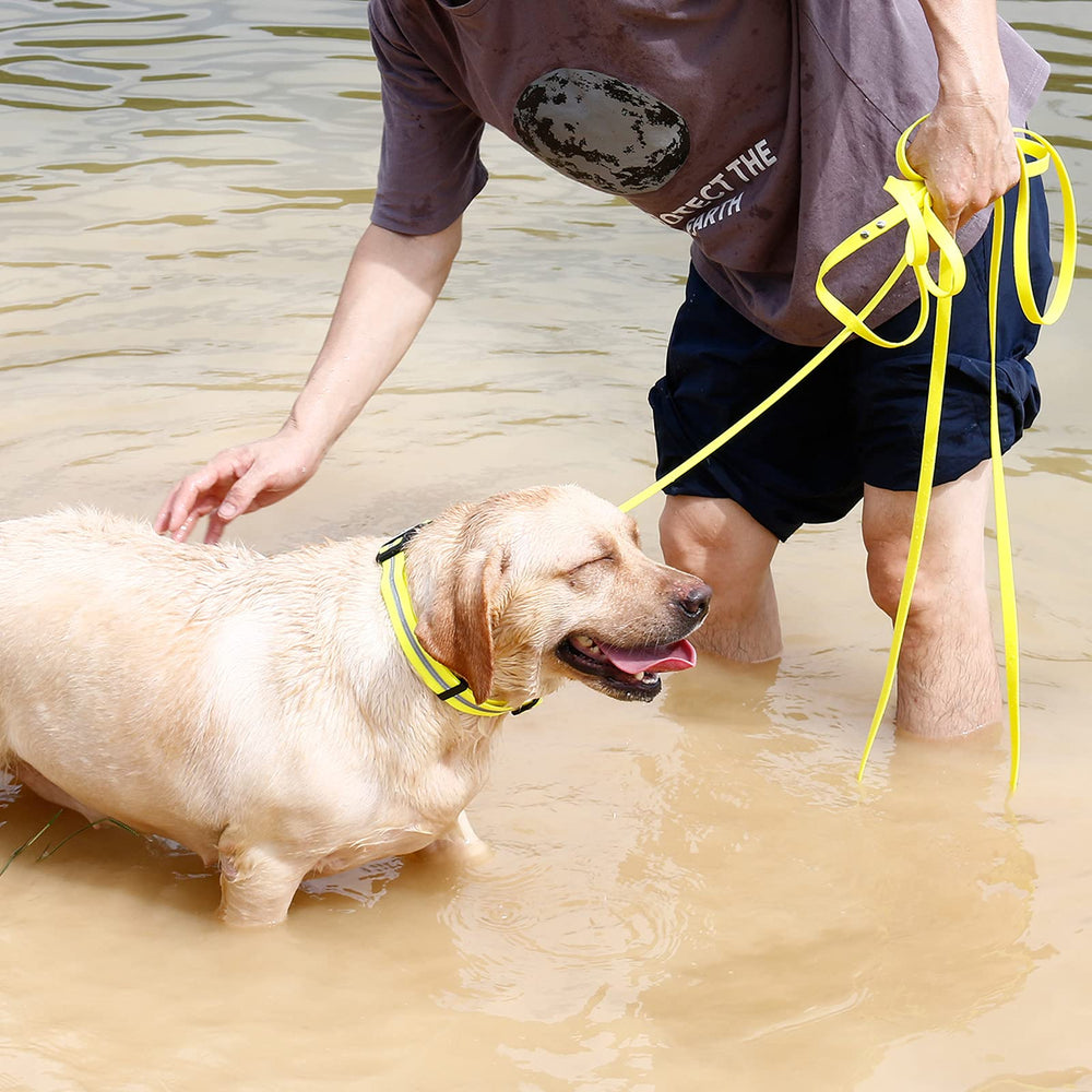 NIMBLE durable poly-coated nylon leash withstands regular use
