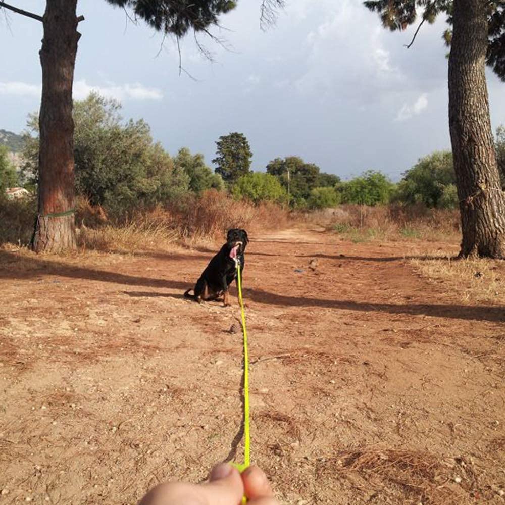 NIMBLE durable poly-coated nylon leash built for rugged outdoor use