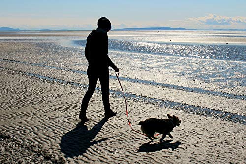 NIMBLE waterproof dog leash fabric closeup showing soft grip and strong construction