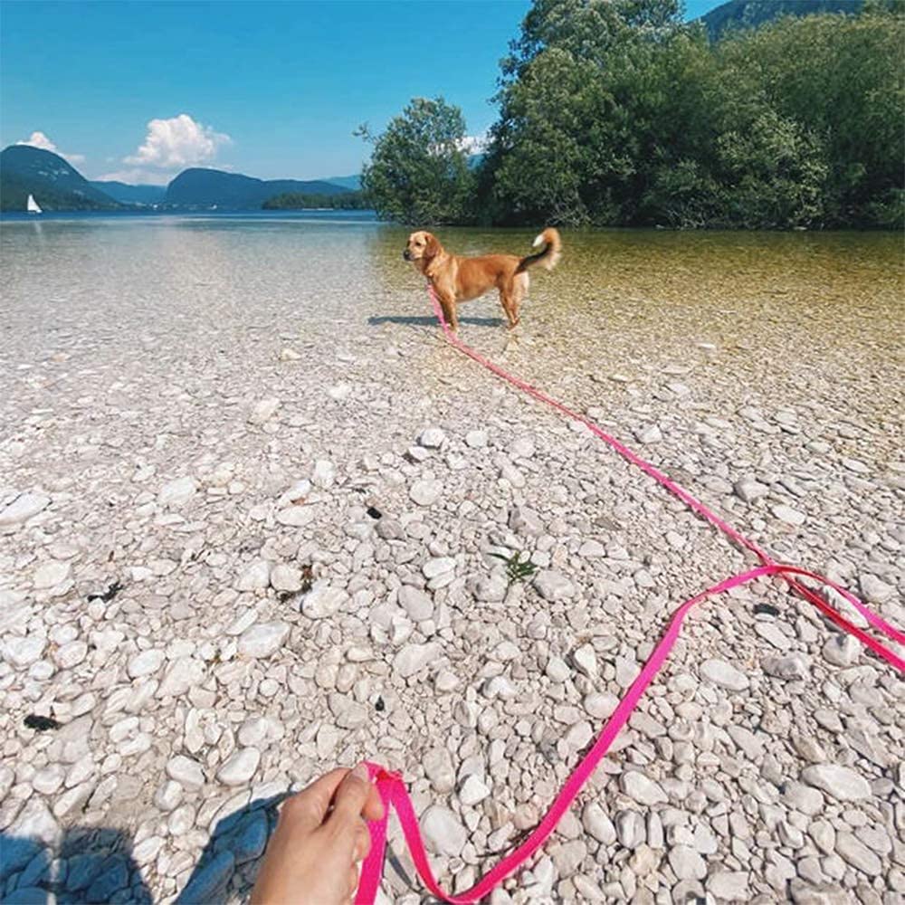 NIMBLE waterproof dog training leash pink worn by a large dog on an urban stroll