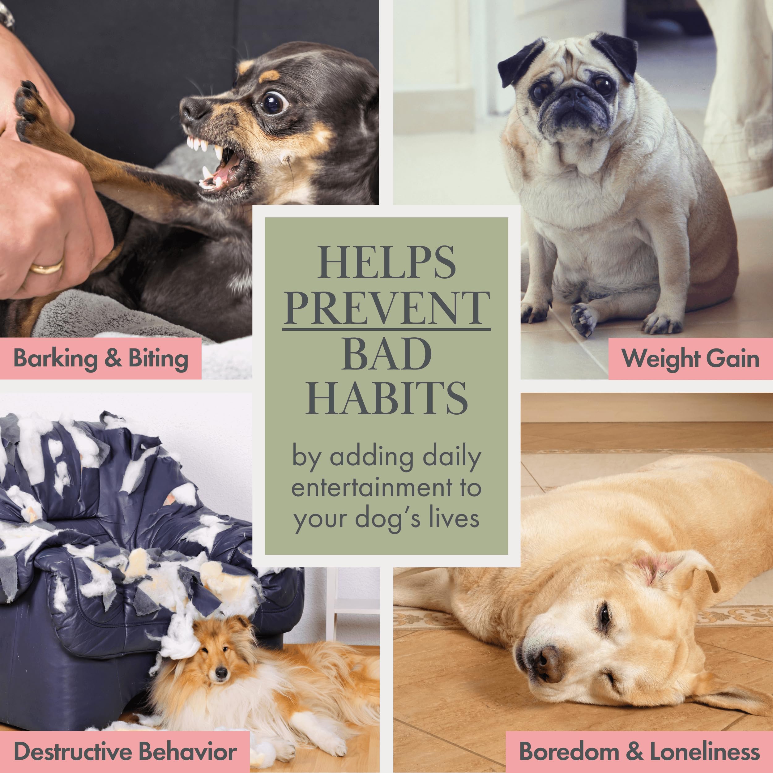 Nina Woof safe-chews for small dogs, designed for gentle chewing