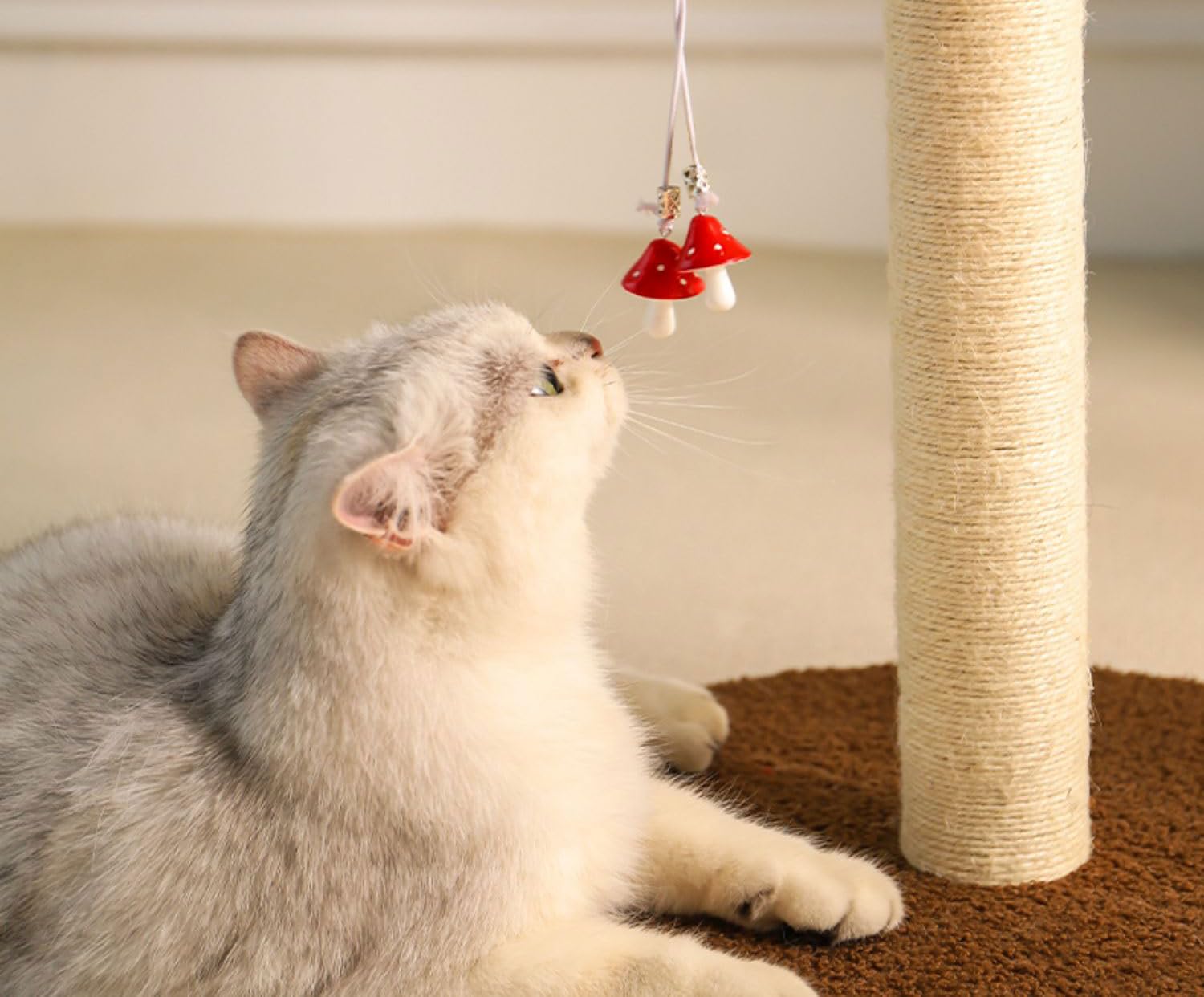 NINGVIHE M8 replacement pole lets cats stretch and scratch comfortably.