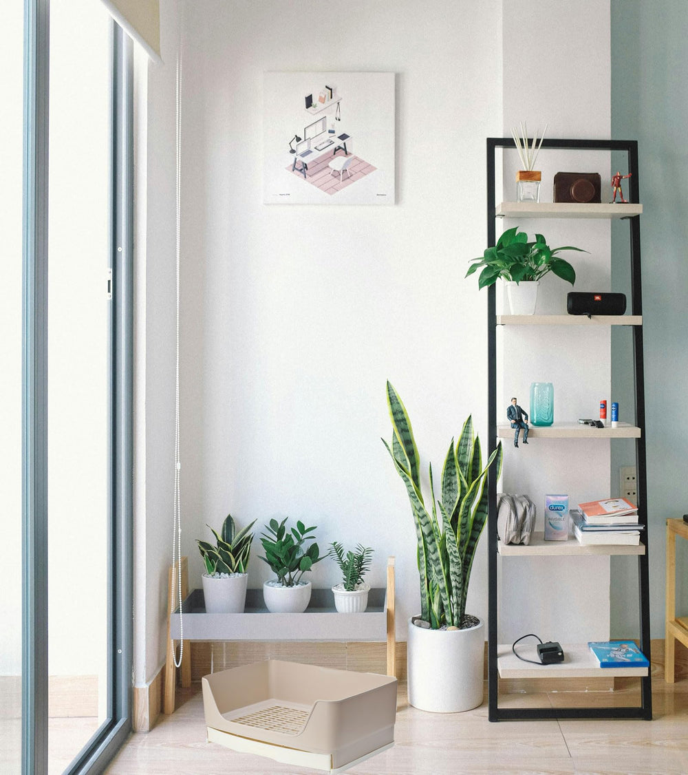 NINGVIHE training-litter-box in-use shows practical setup for pets.