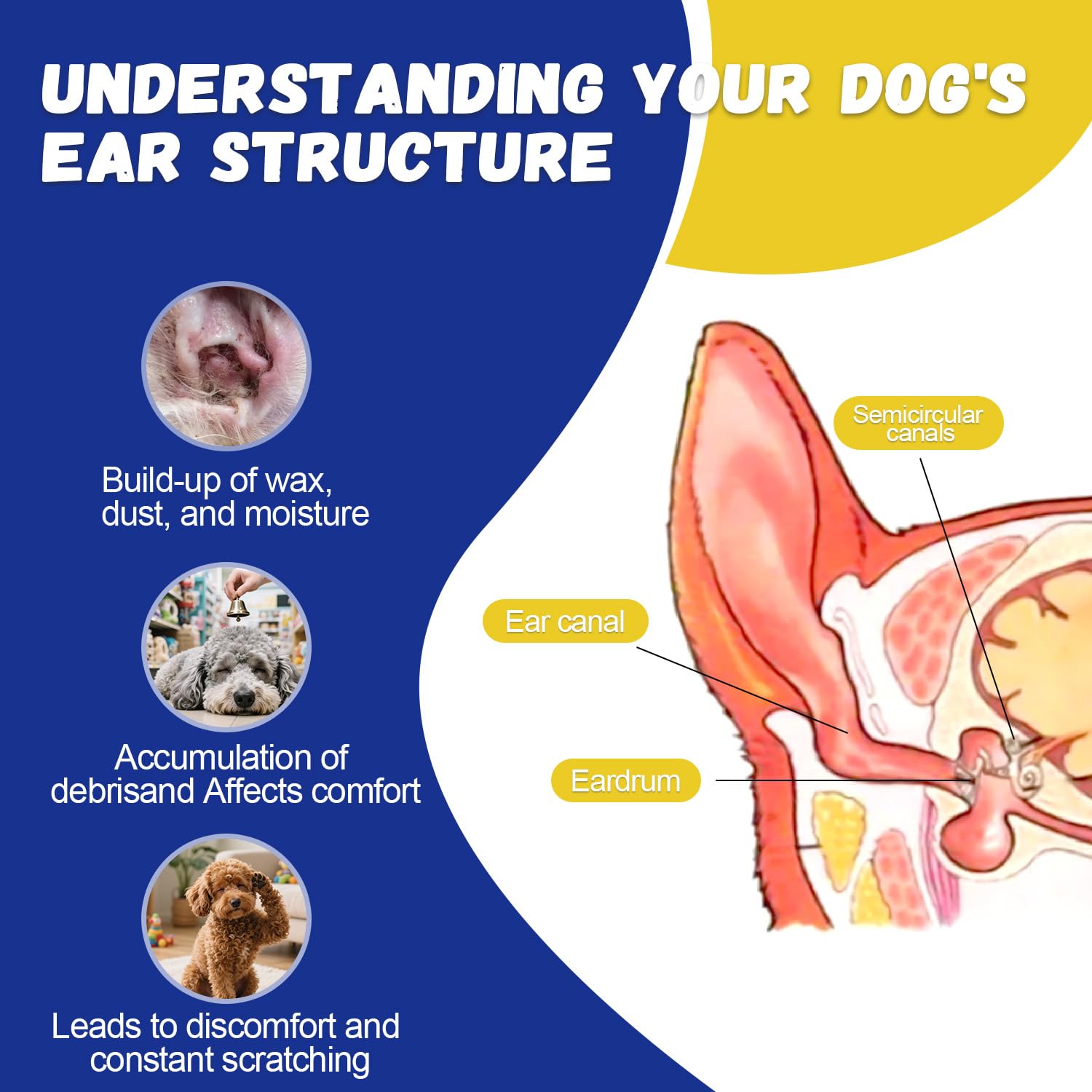 Ninibabie dog ear care routine supports long-term ear hygiene.