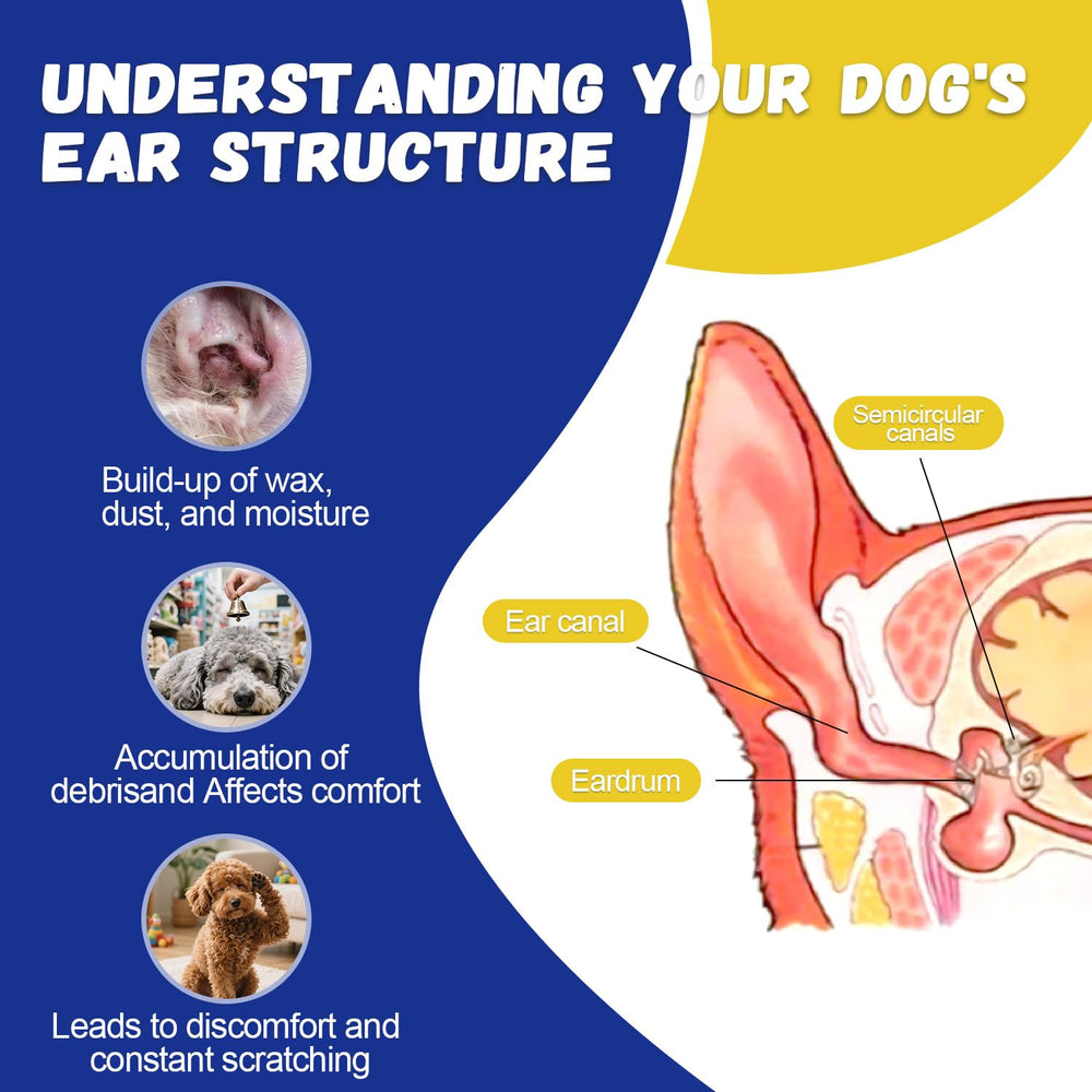Ninibabie dog ear care routine supports long-term ear hygiene.