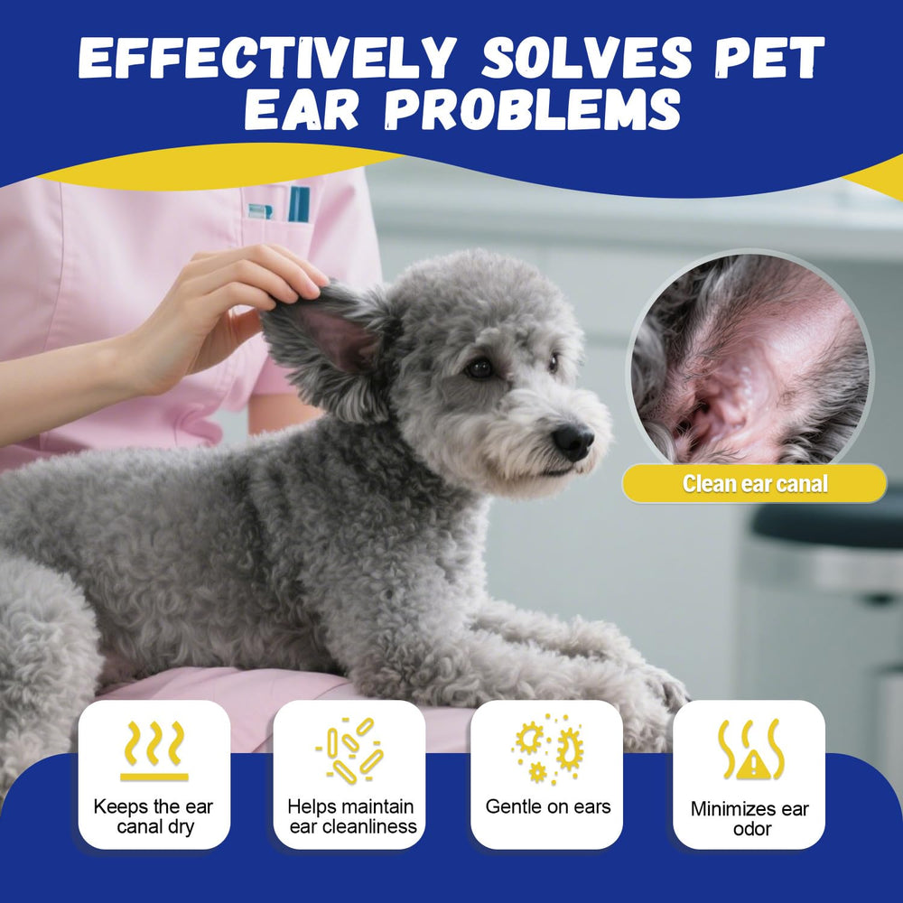 Ninibabie dry-groom setup reduces slip during plucking.