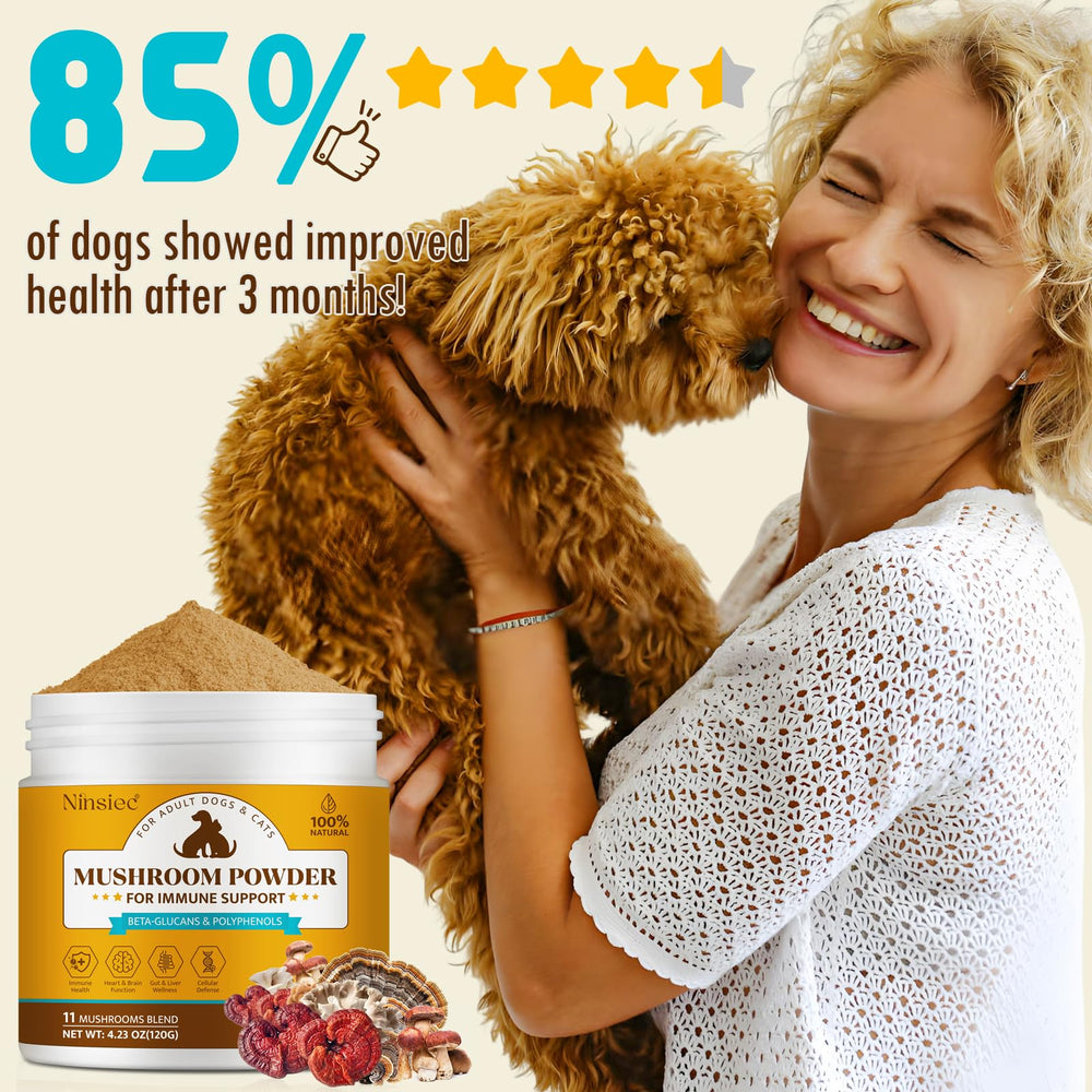 Ninsiec Mushroom Complex immunity-boost concept for pet wellness.