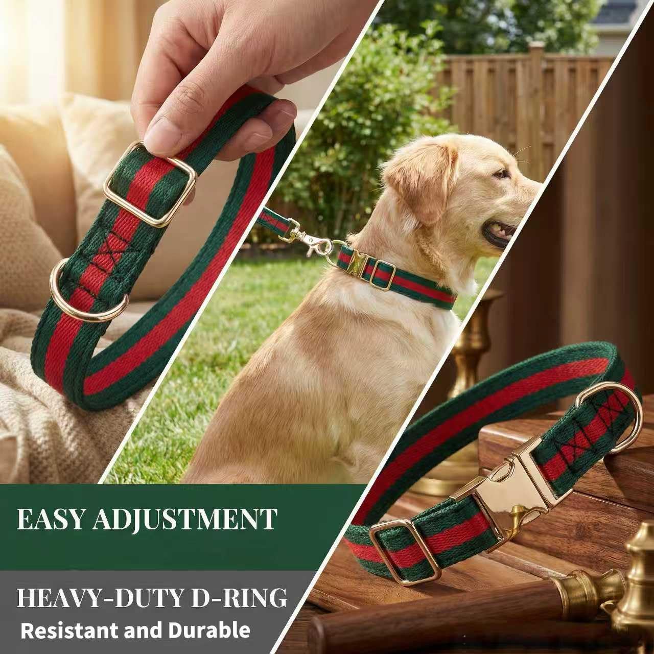 NISIYE dog leash at 5 ft length exemplifying safe control during walks.