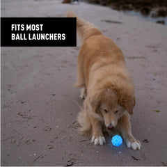 Durable rubber GlowStreak dog toy for bite-friendly play.