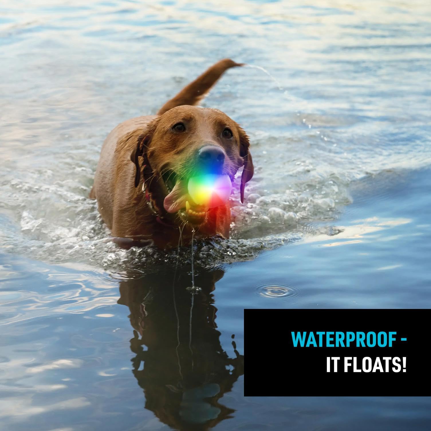 GlowStreak floats and resists water for aquatic fun.