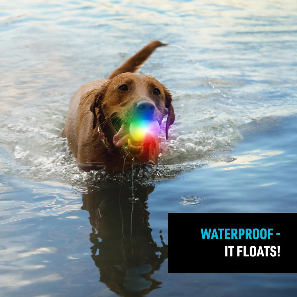 GlowStreak floats and resists water for aquatic fun.