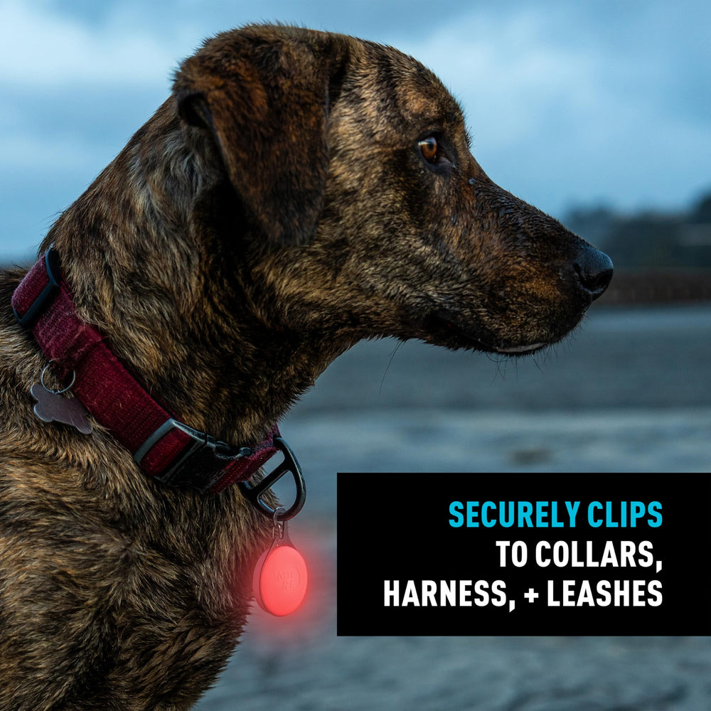Nite Ize SpotLit Splash stainless steel clip mounts securely to collars