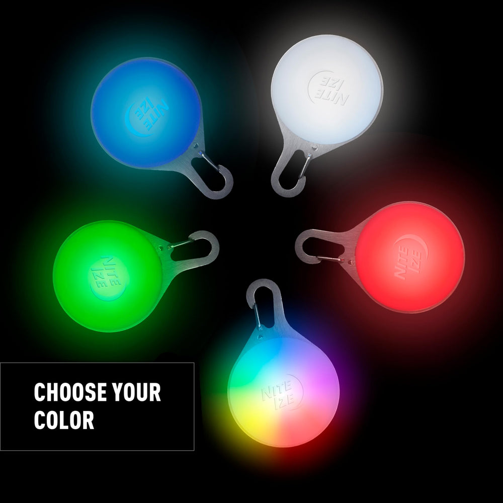 Nite Ize SpotLit Splash USB-C recharge keeps your dog's light ready