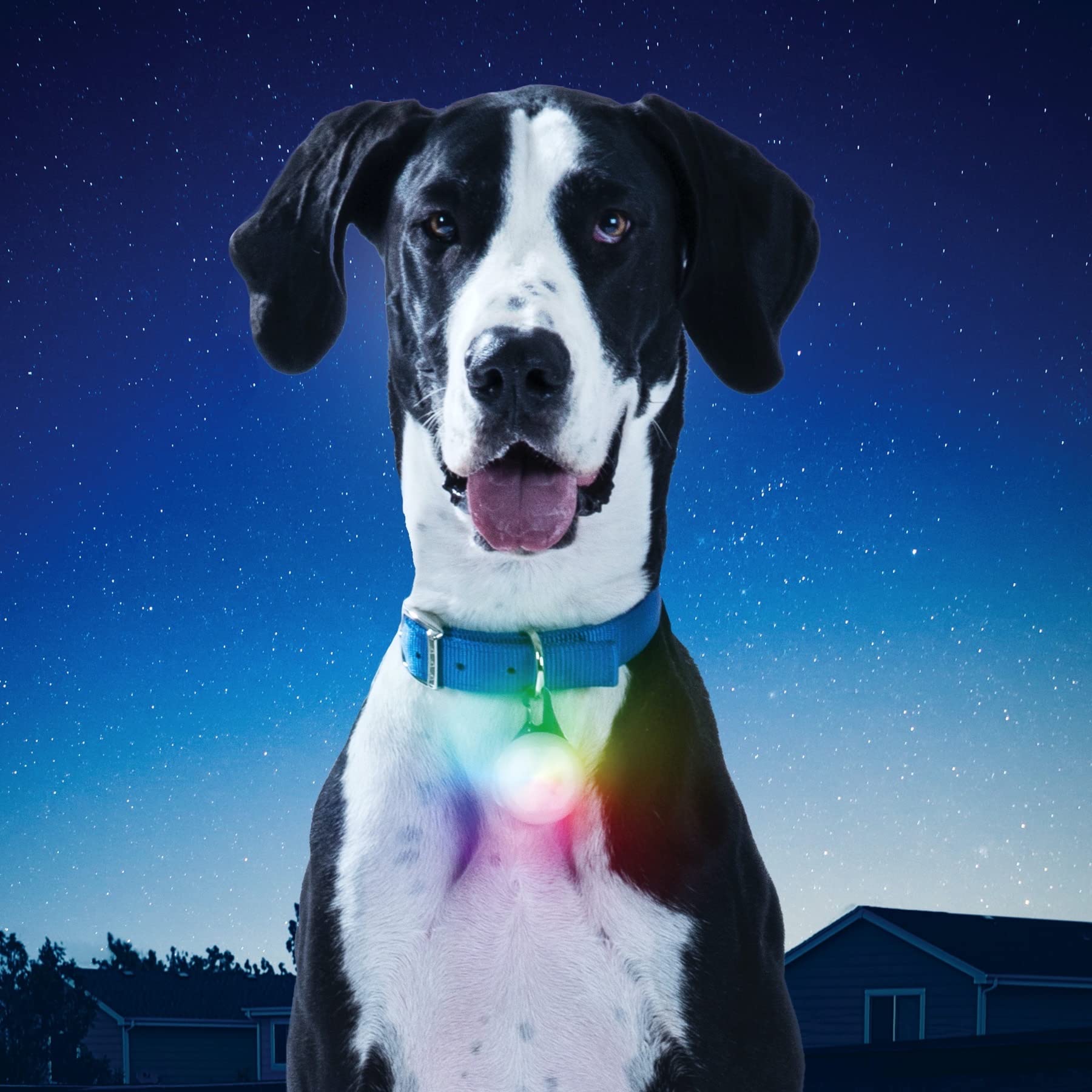 Nite Ize SpotLit XL clip-on pet light for versatile nighttime activities
