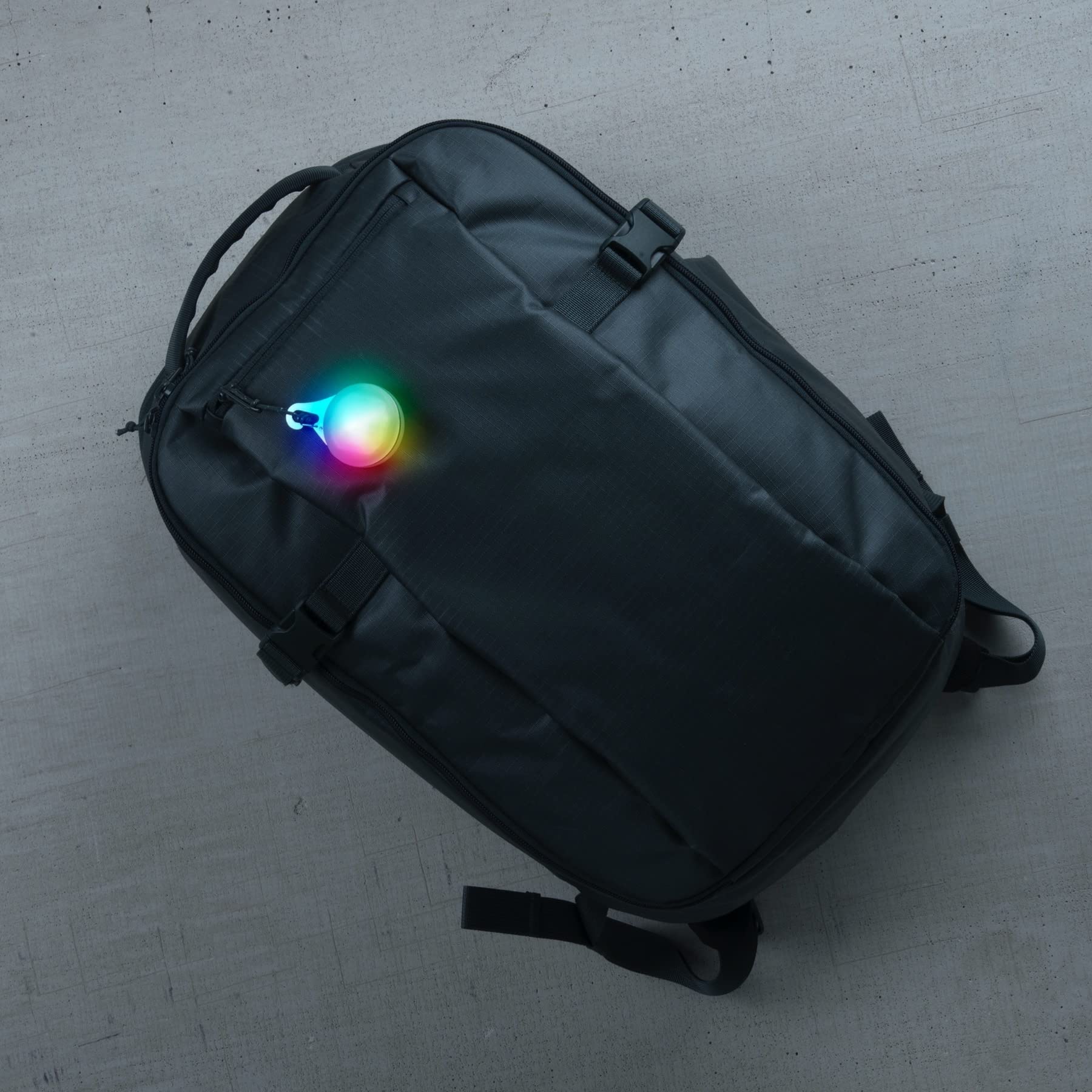 Nite Ize SpotLit XL on a dog collar for nighttime visibility