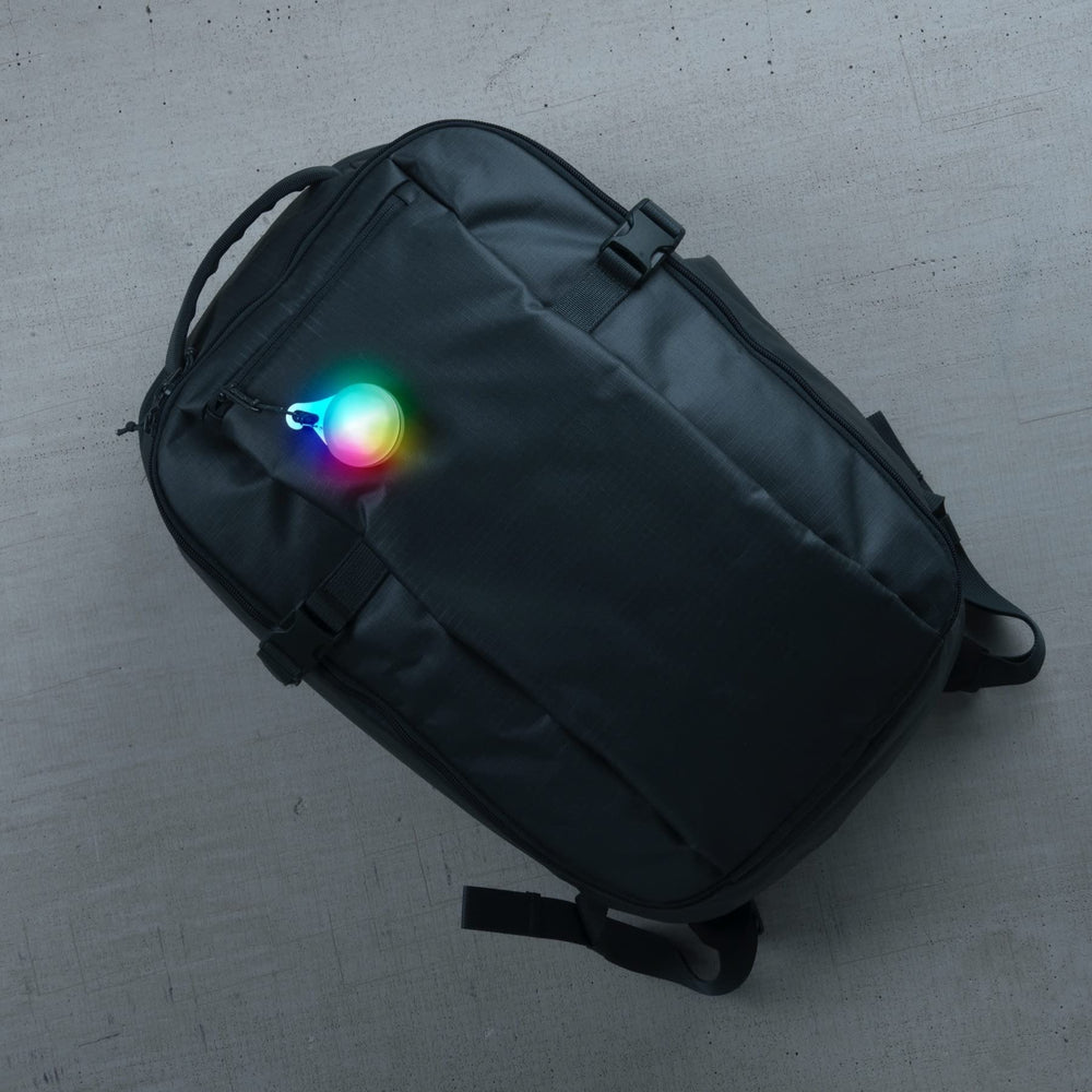 Nite Ize SpotLit XL on a dog collar for nighttime visibility
