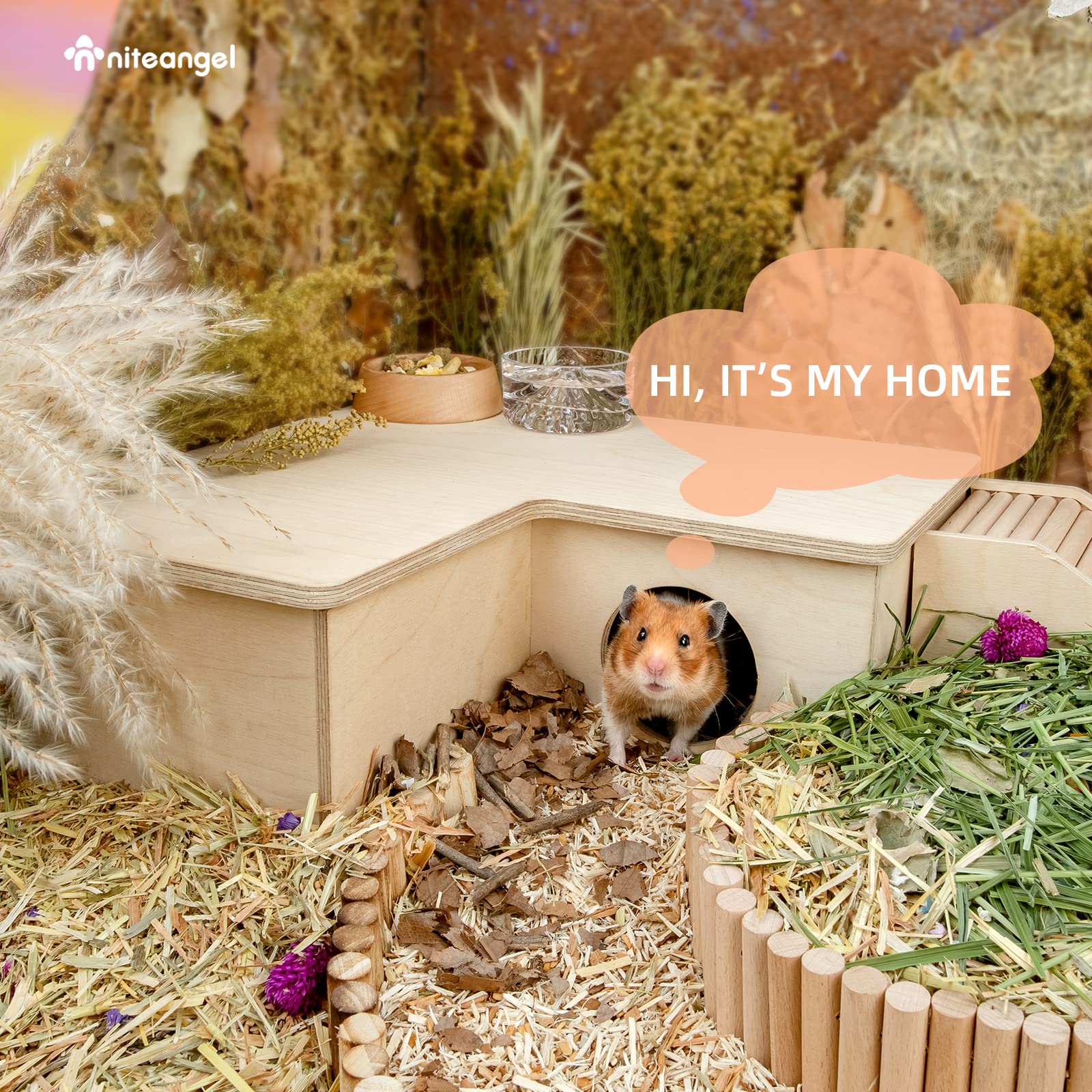 Niteangel 3-chamber hamster house provides a cozy daytime hideaway