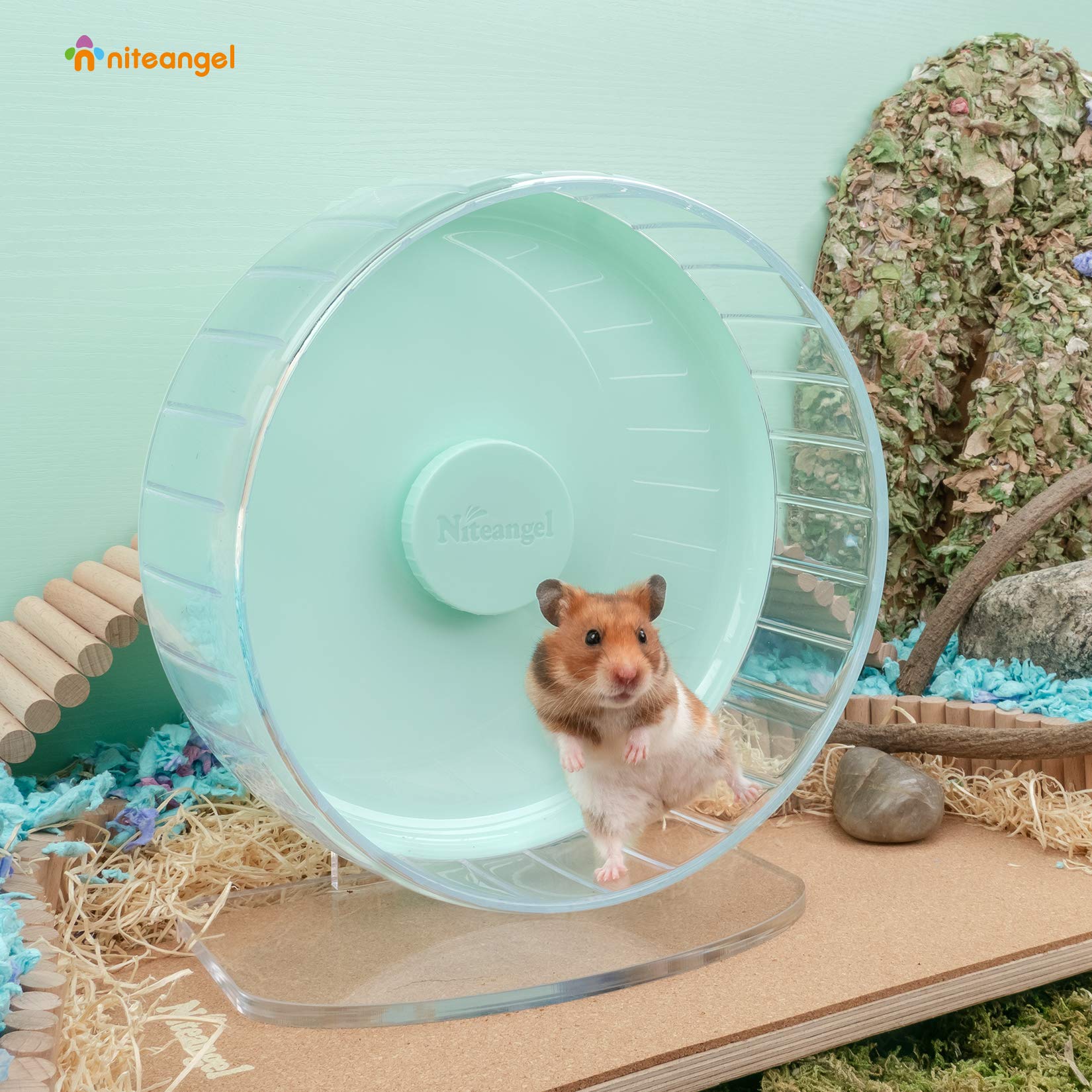 Niteangel acrylic base offering stable support for the hamster wheel.