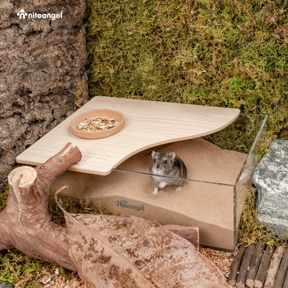 Niteangel Animal Sand-Bath Box half-lid transparent view for observing digging