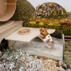 Niteangel Animal Sand-Bath Box in-cage setup demonstrating easy placement