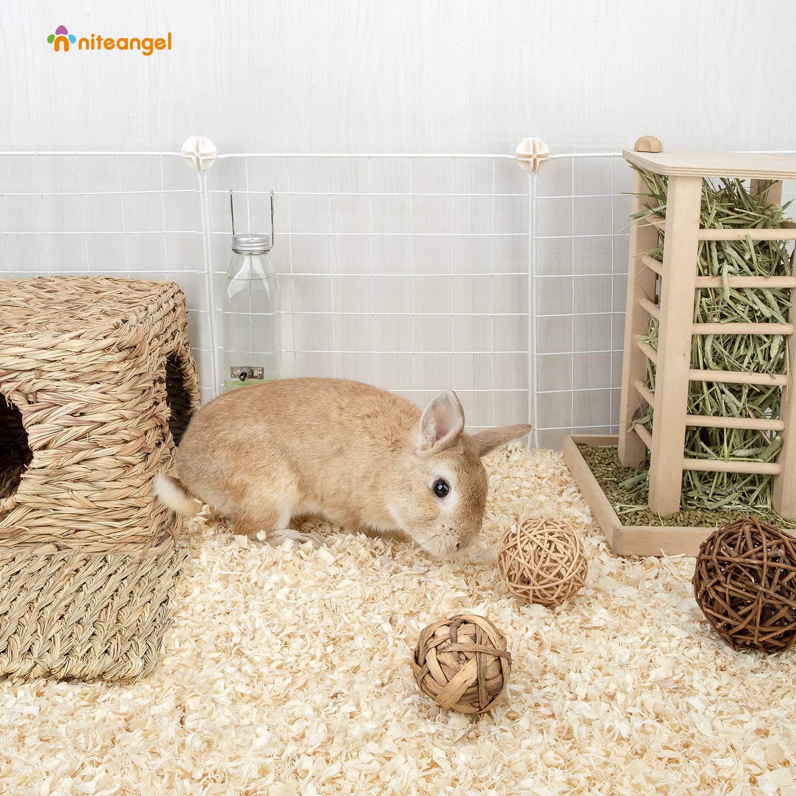 Niteangel Aspen Bedding encourages digging and tunnel building