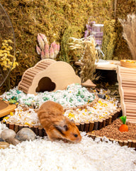 Niteangel Aspen bedding offers strong moisture absorption to reduce odor.