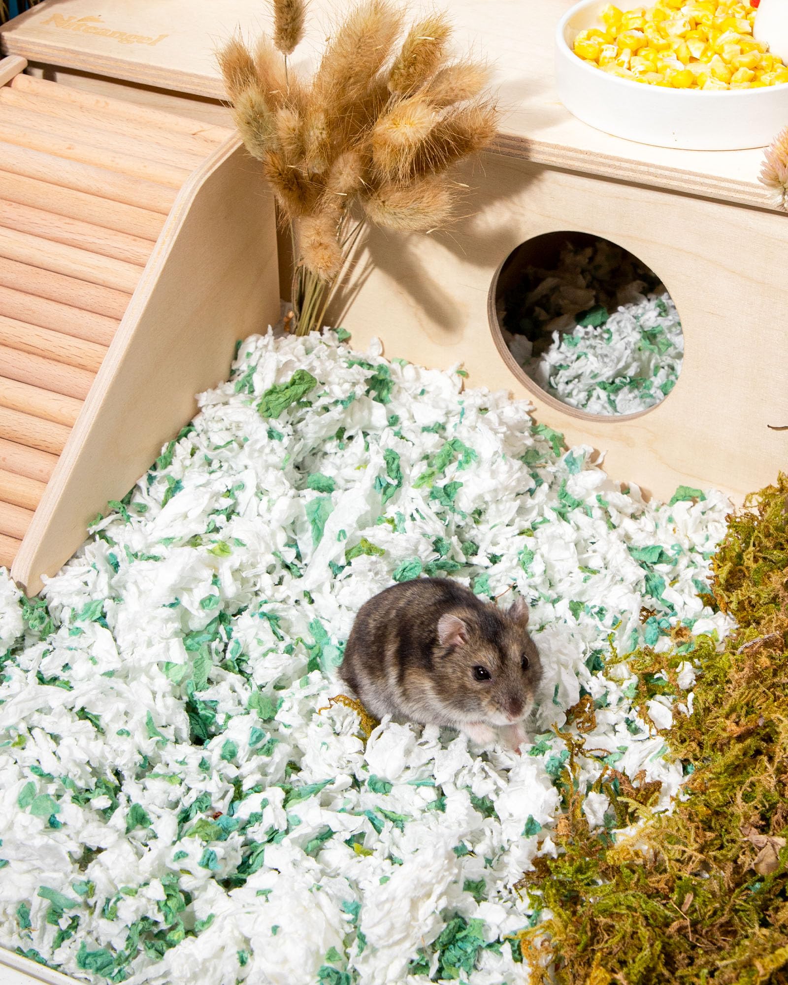 Niteangel Aspen bedding supports digging and tunnel building in cages.
