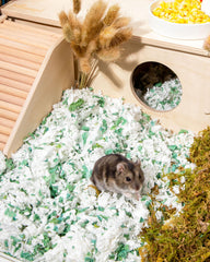 Niteangel Aspen bedding supports digging and tunnel building in cages.