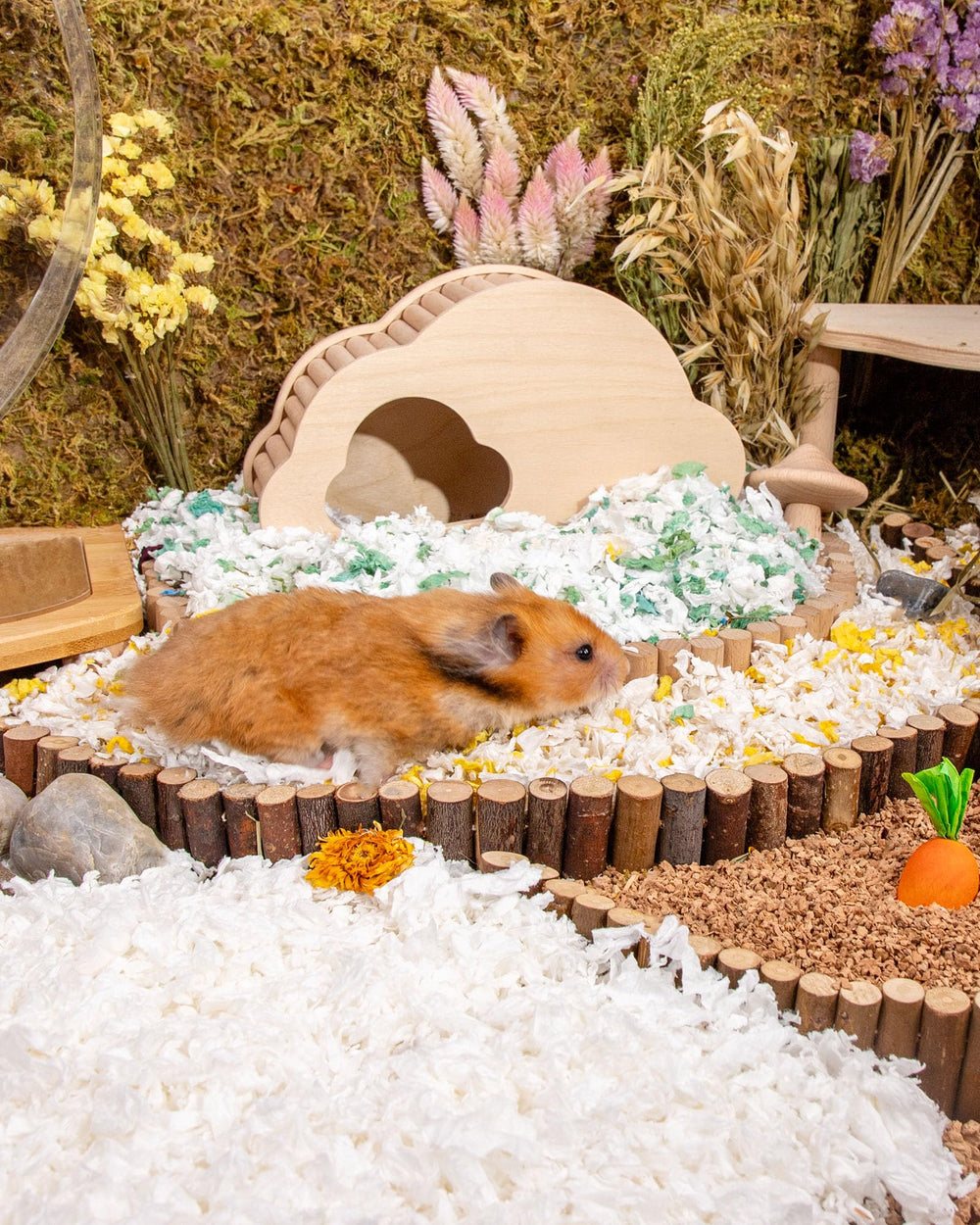 Niteangel Aspen bedding suitable for Syrian hamsters, mice, and more.