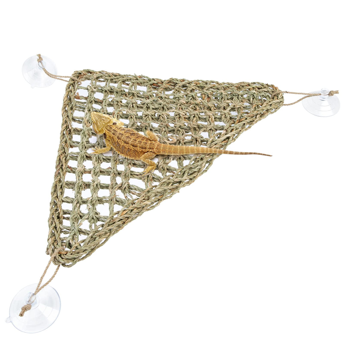 Niteangel bearded dragon hammock triangle for elevated, cozy lounging.