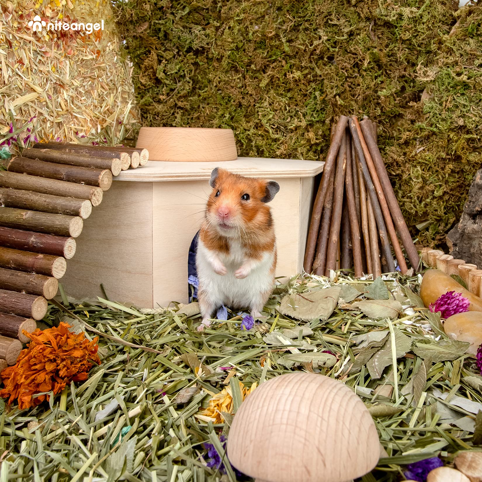 Niteangel Birch Chamber-Maze Hamster Hideout climbing ramp detail encourages exercise and exploration.