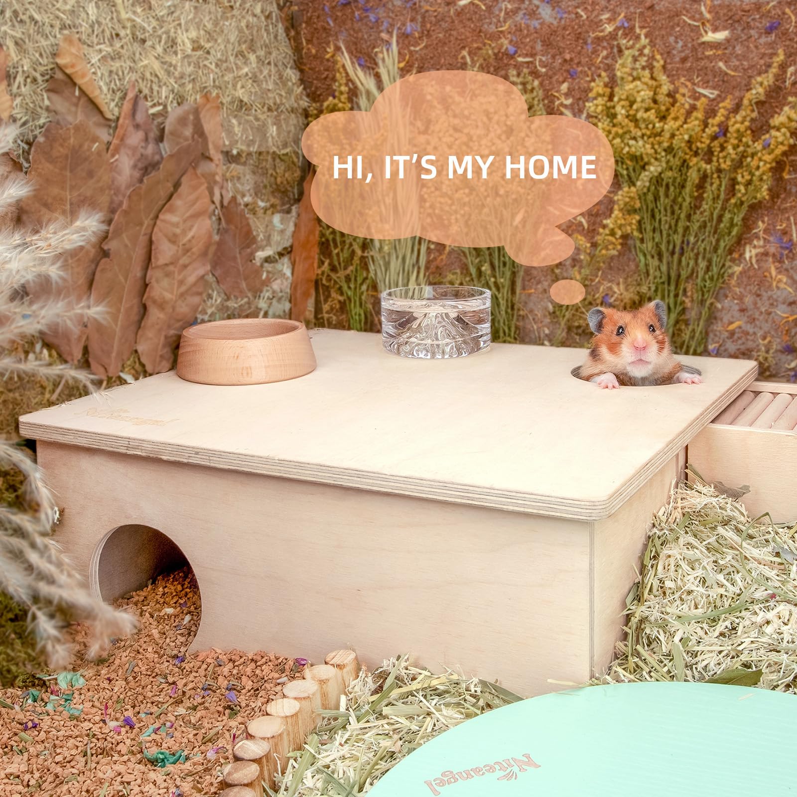 Niteangel Birch Chamber-Maze Hideout entrances, easy access for quick exploration.
