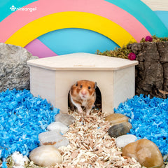 Niteangel Birch Chamber-Maze Hamster Hideout exterior demonstrates cozy shelter that enhances cage decor.