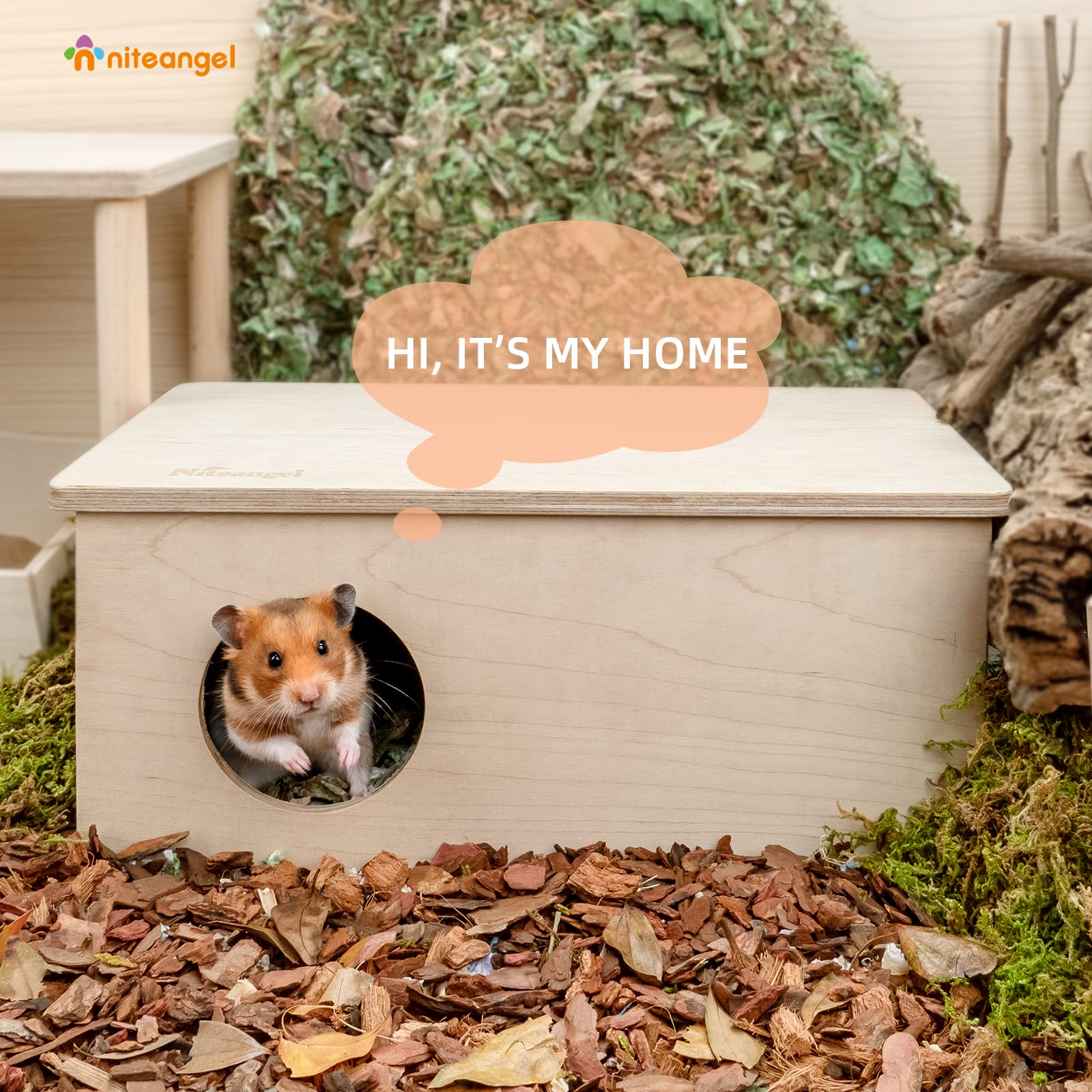 Niteangel Birch plywood with smooth edges enhances safe play and handling.