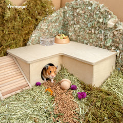 Niteangel burrow-inspired habitat with three rooms to explore