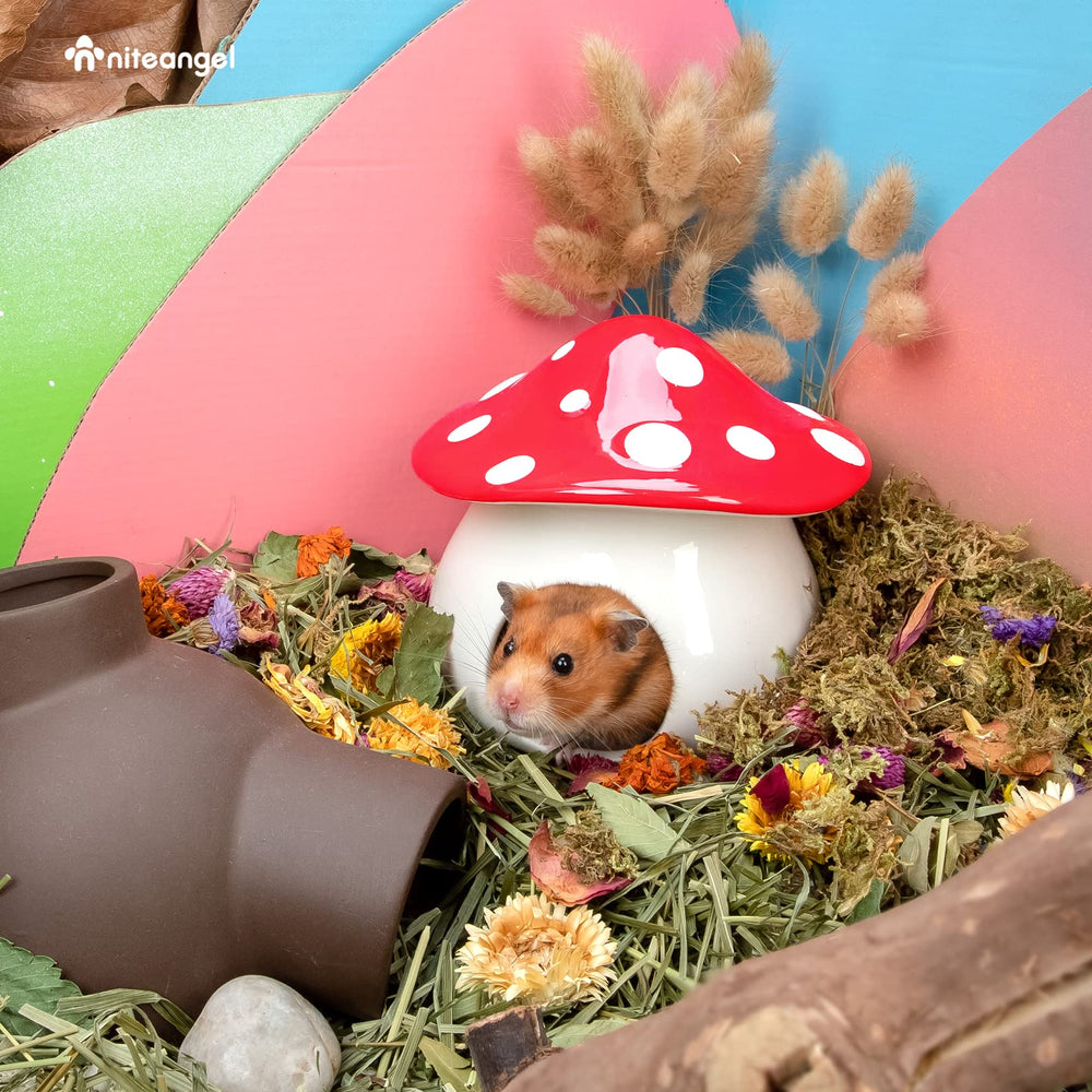 Soft corner view shows a compact, space-saving habitat accessory.