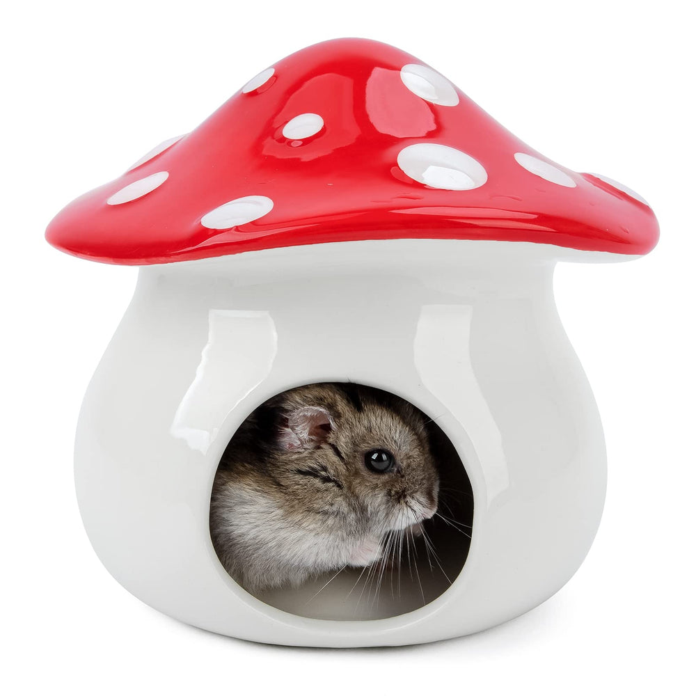 Niteangel ceramic hamster hideout mushroom offers cozy shelter and decorative habitat appeal.