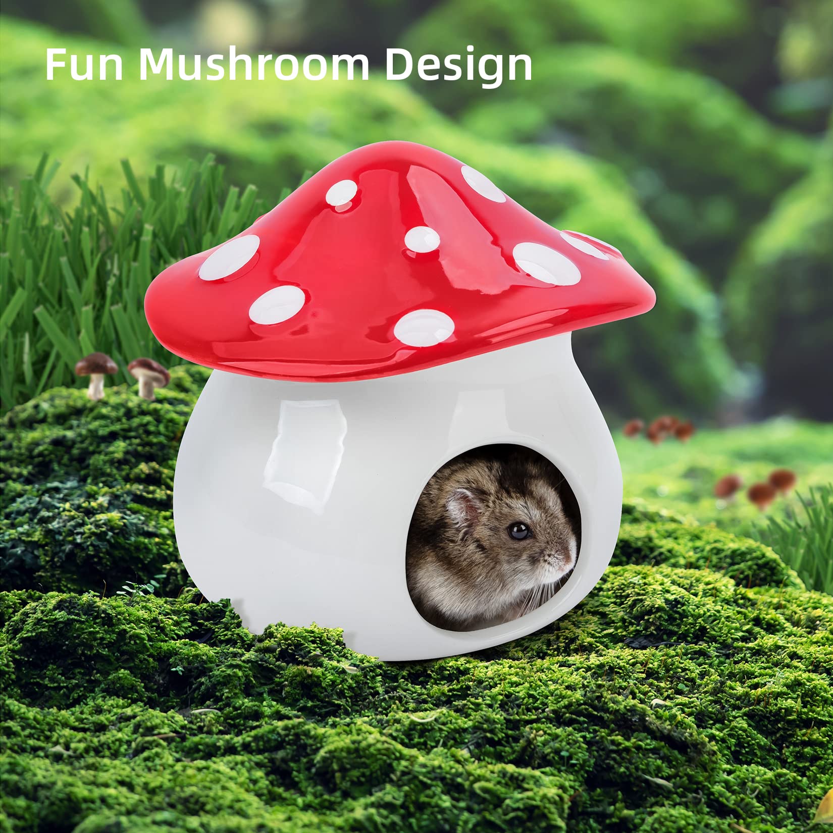Easy-to-clean ceramic hideout supports quick habitat maintenance.