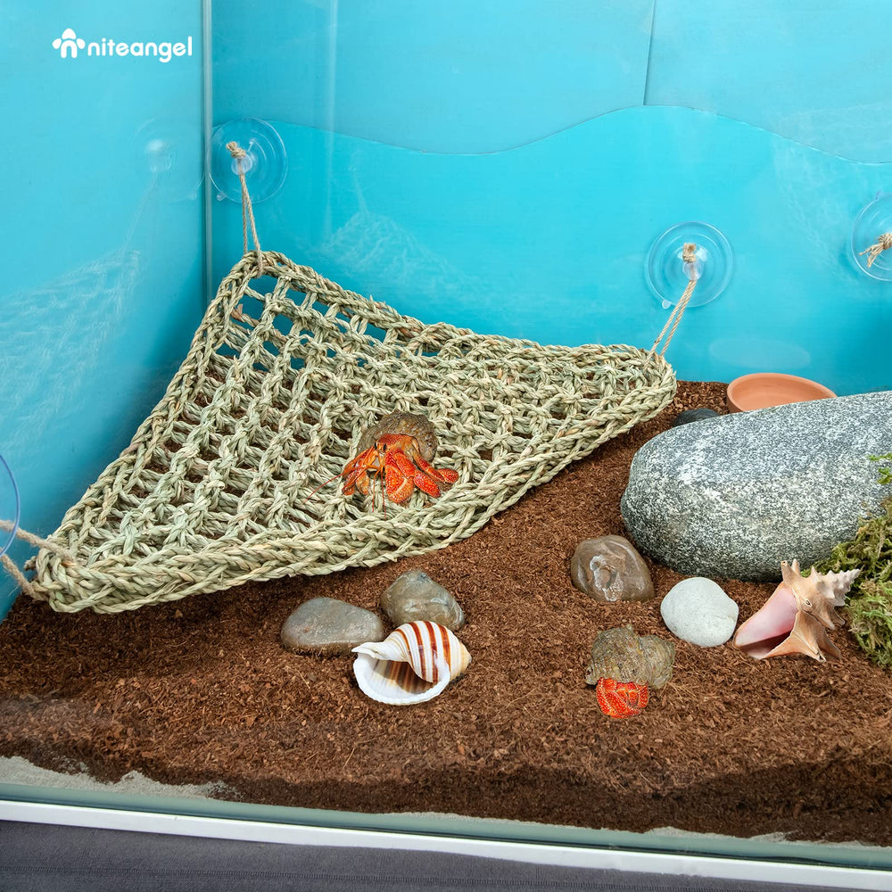 Niteangel climbing-space extension adds more surface area in terrarium.