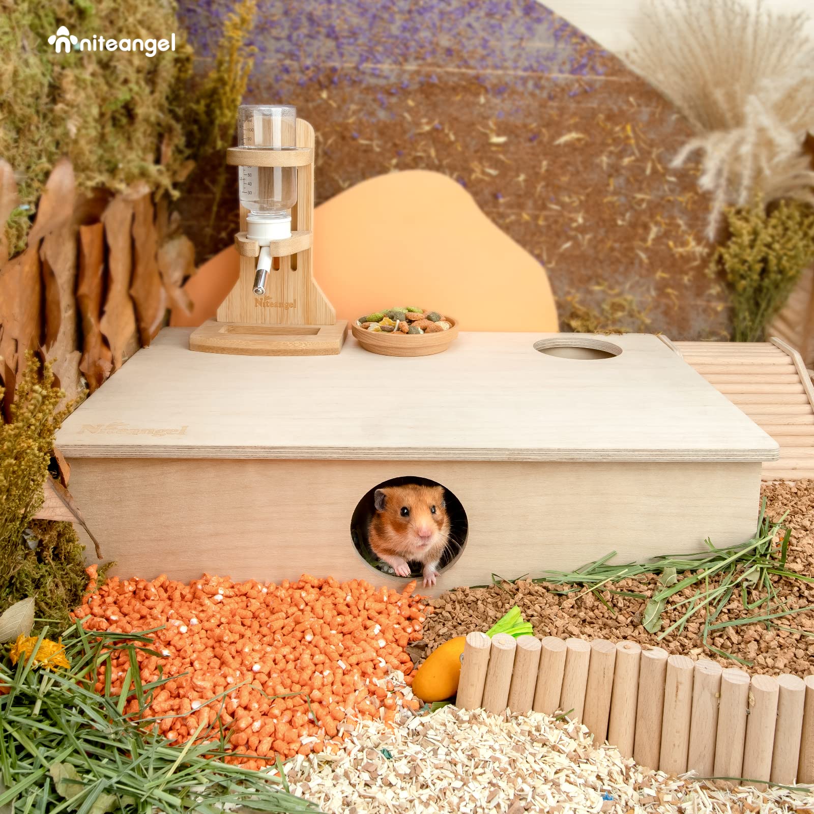 Niteangel dark room provides daytime rest for hamsters.