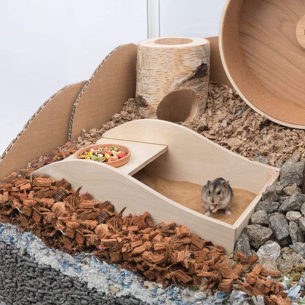 Niteangel digging time sand pool encouraging natural burrowing behavior.