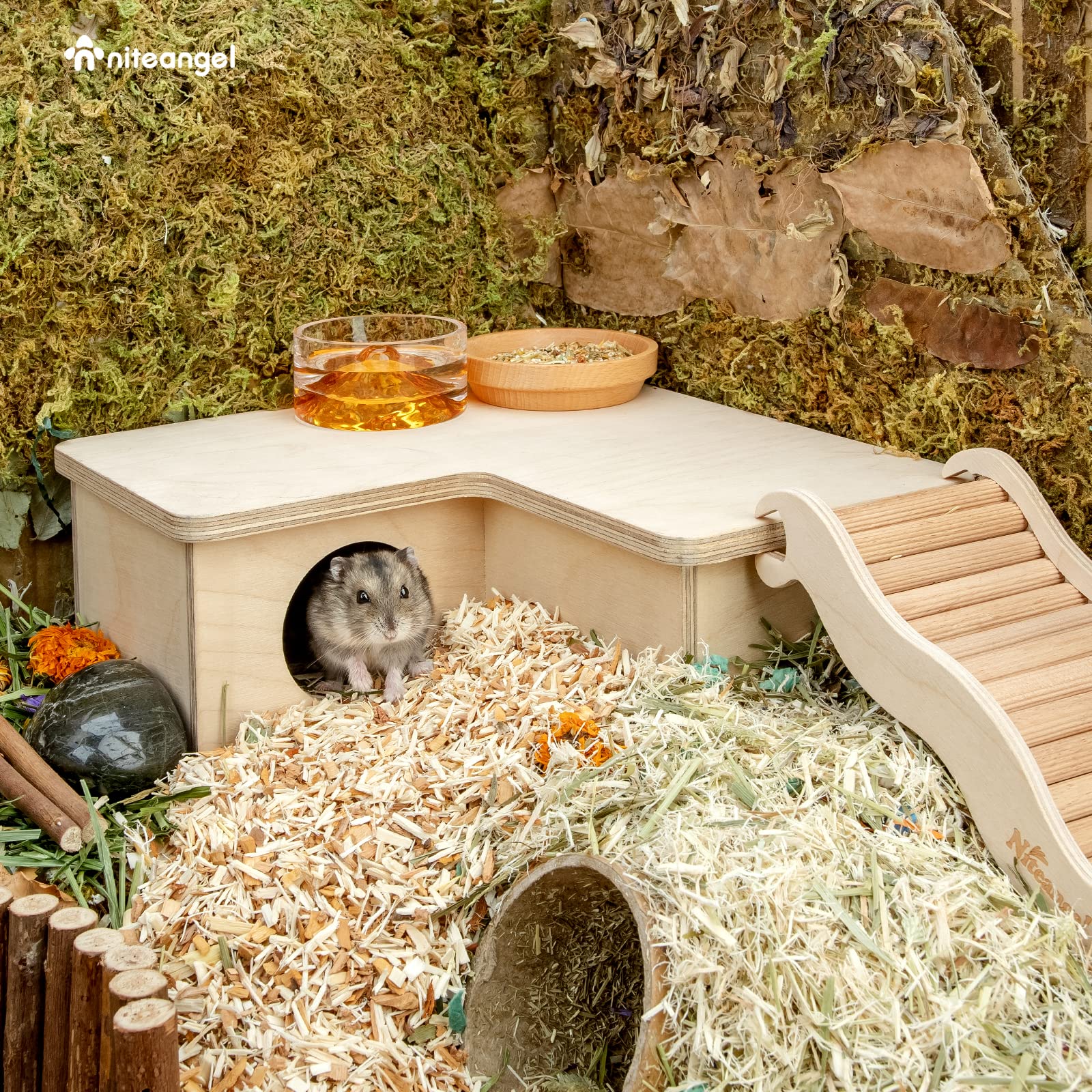 Niteangel dwarf hamster home compact size fits small cages
