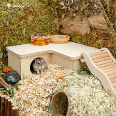 Niteangel dwarf hamster home compact size fits small cages